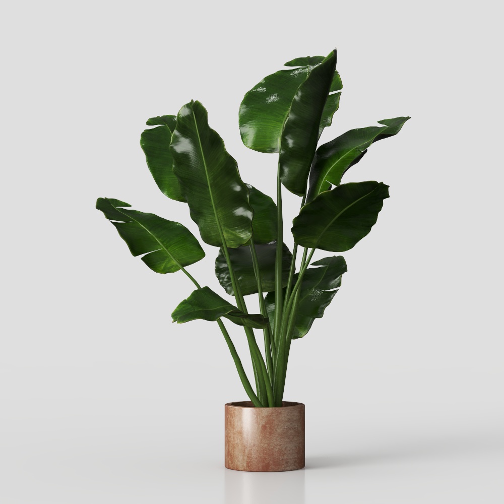 Tropical Plants 3D Model – Low-Poly Green Foliage