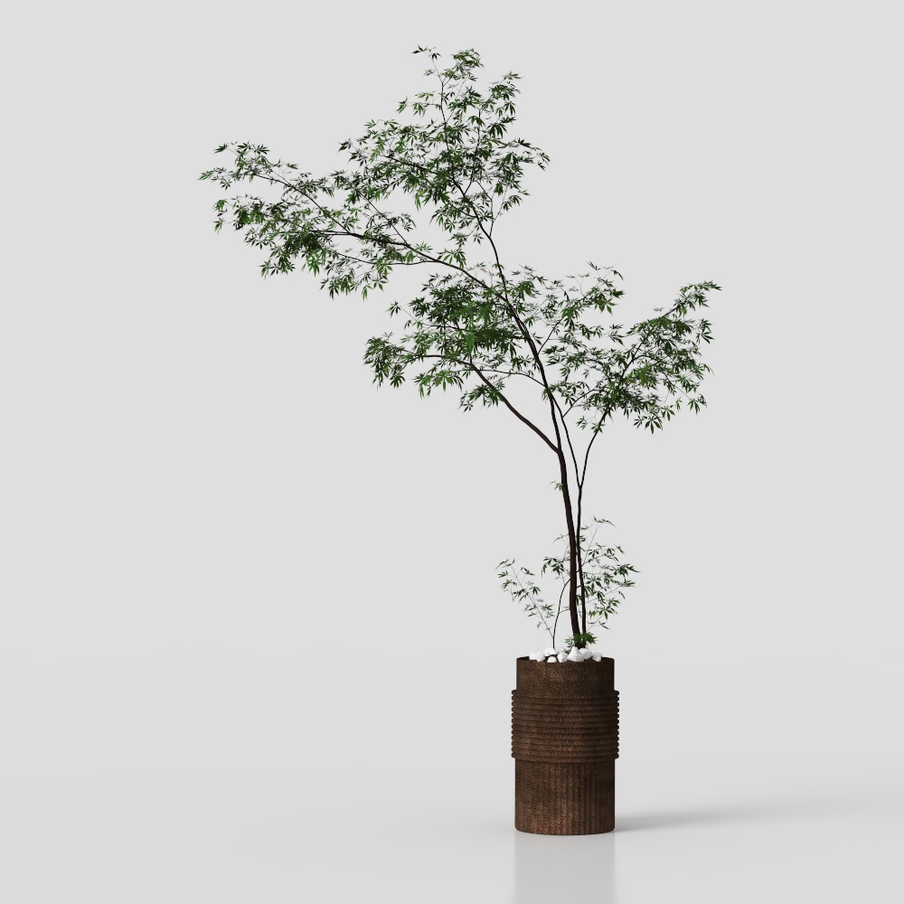 緑の鉢植えの植物