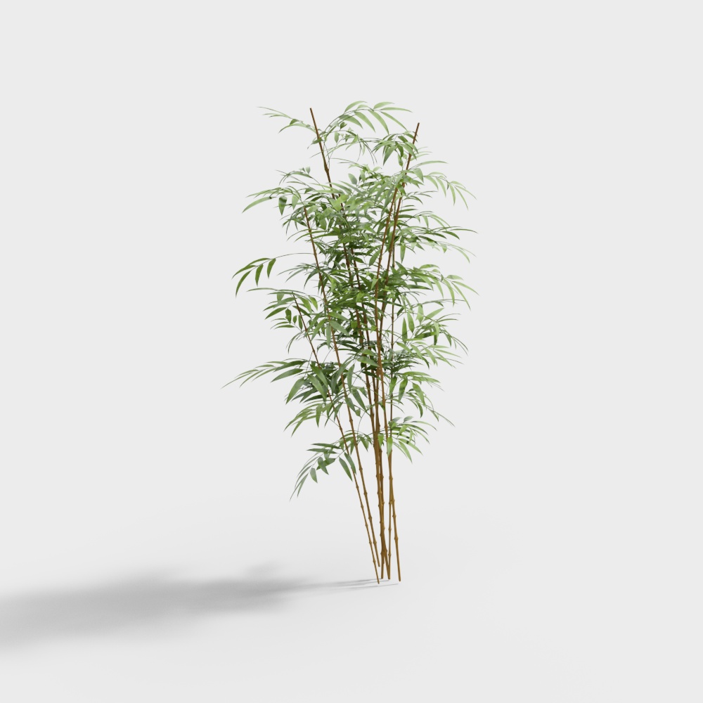 Bamboo Grove Sanctuary 3D model