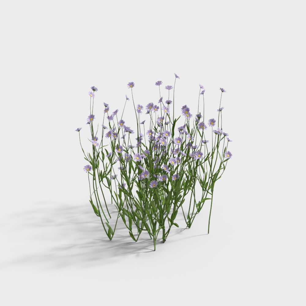 31-little purple flower