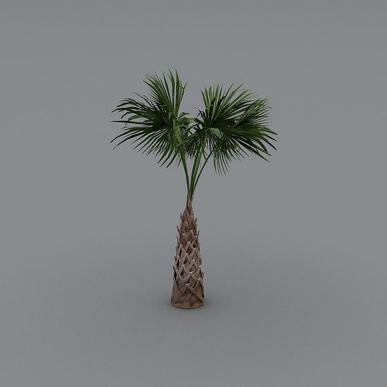 Tropical Palm Tree 3D Model for Creative Projects