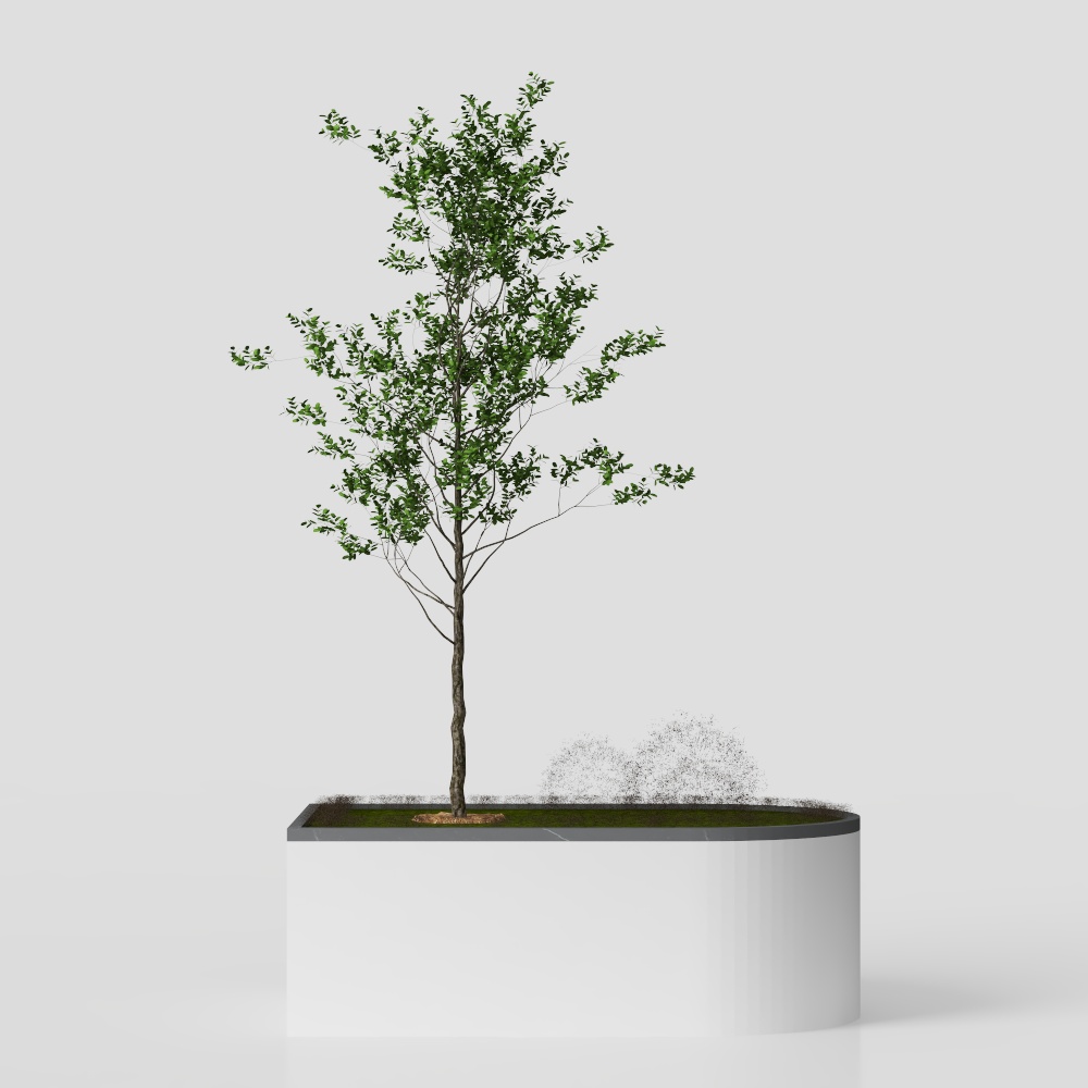 Aiuole Moderne di Arbusti