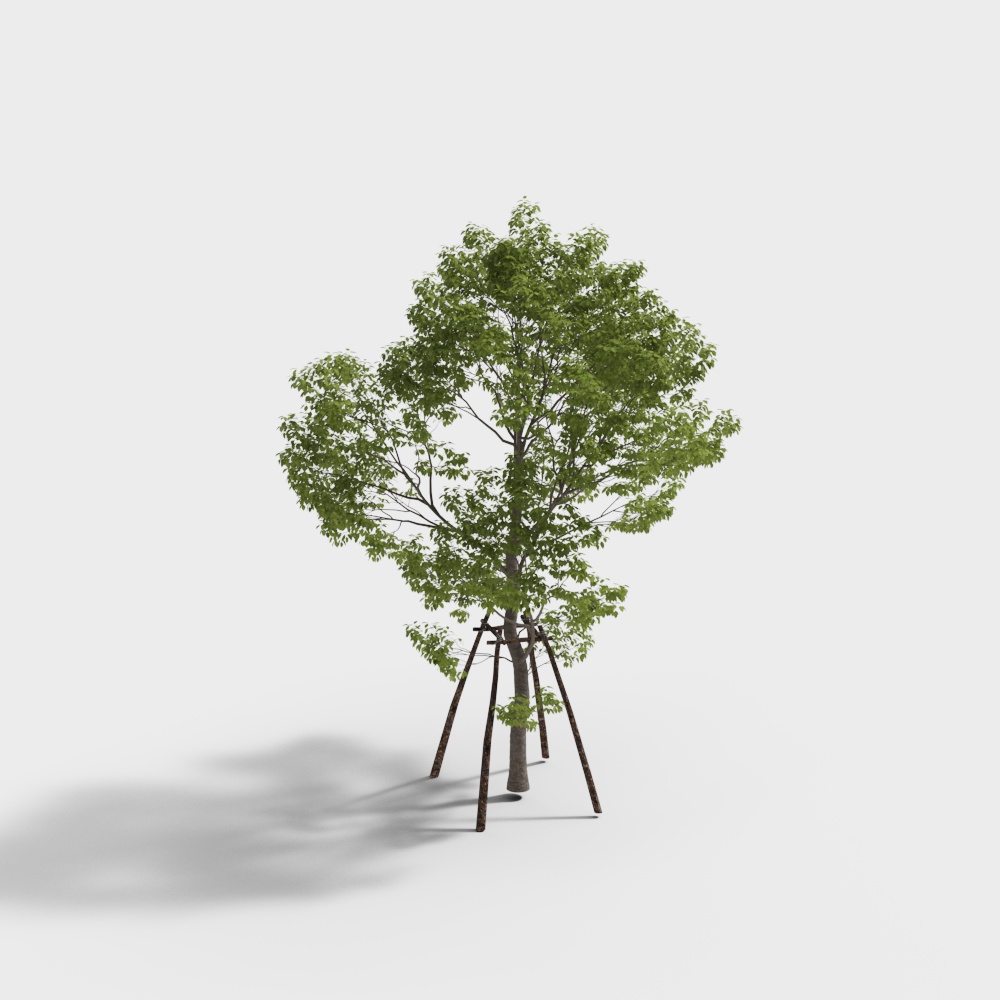 ต้นไม้ในสวน