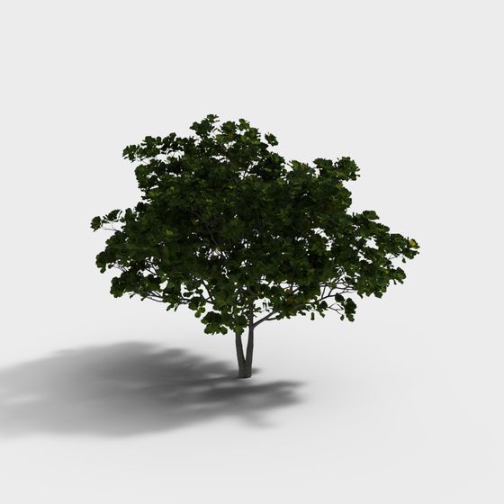 Realistic Low-Poly 3D Tree Model