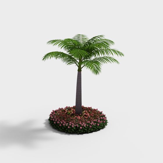 Tropical Palm Tree 3D model - Beach Oasis