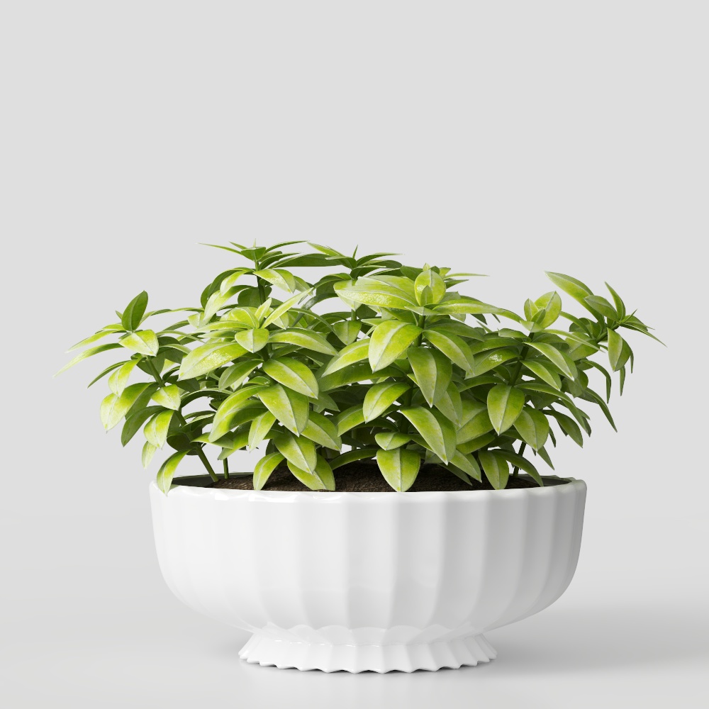 프랑스 식물 장식