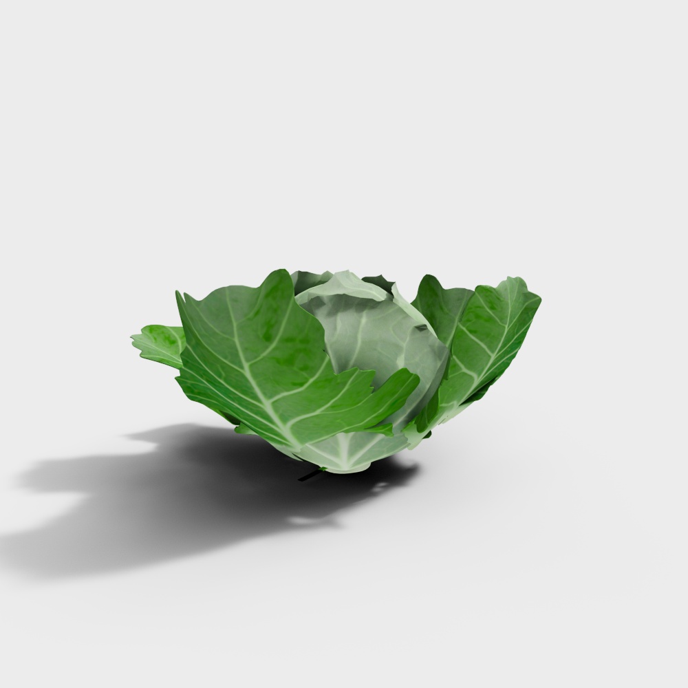 Cabbage Bowl Low-Poly 3D model