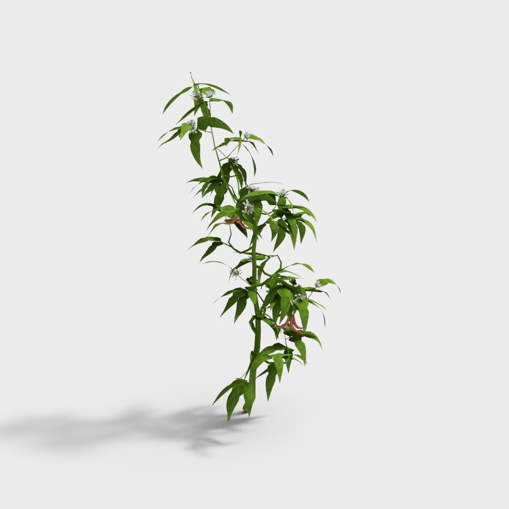 Vibrant Wildflowers and Grass 3D model