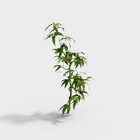 Vibrant Wildflowers and Grass 3D model for Creative Projects