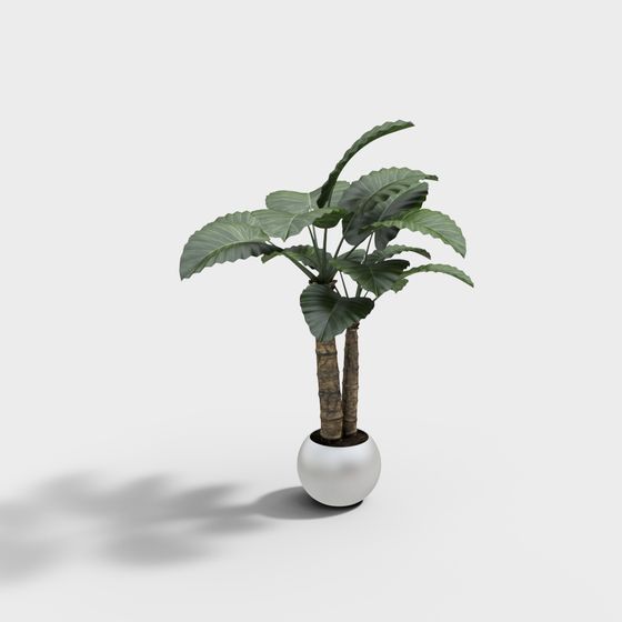 26-цветок в горшке 2