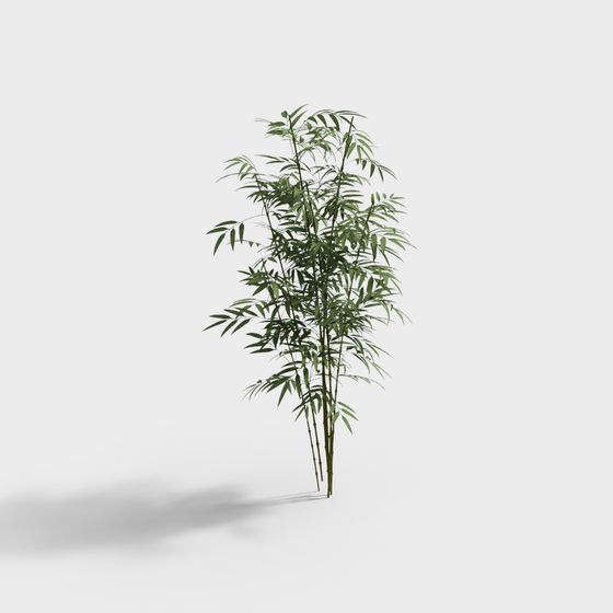 Bamboo Forest Serenity 3D model