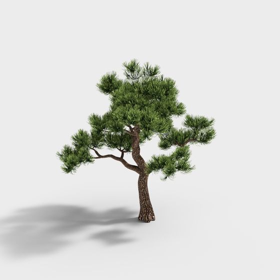 Realistic Low Poly Pine Tree 3D Model