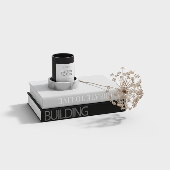 Minimalist Bookshelf 3D model for Modern Spaces