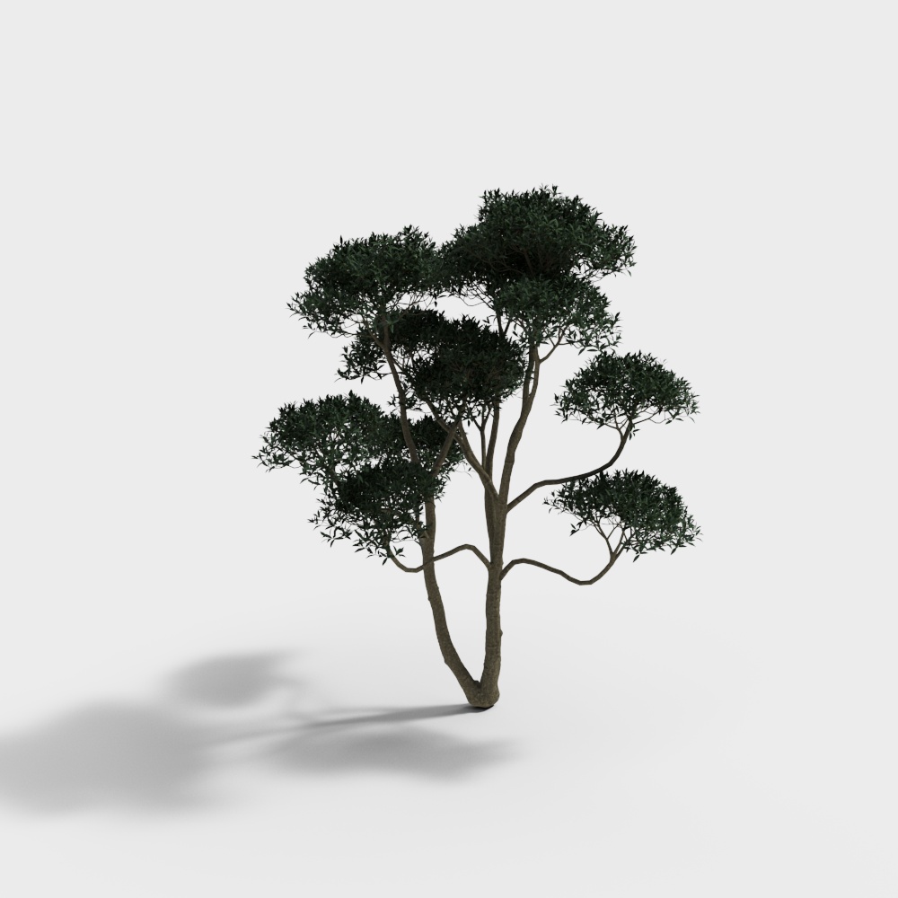 ต้นไม้สำหรับการจัดสวน