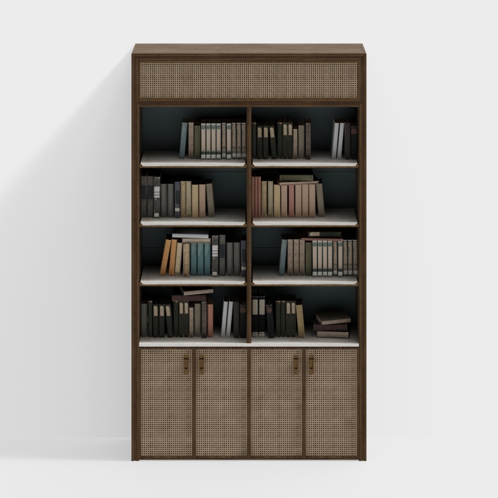 Bookcase 02