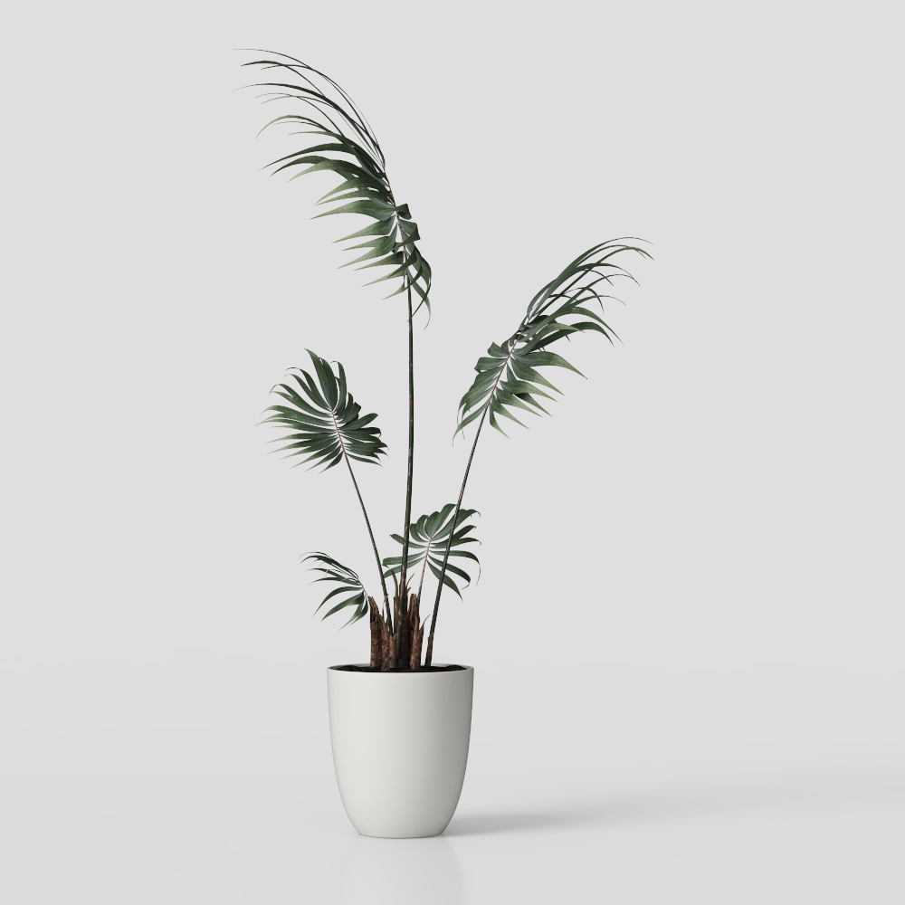 การตกแต่งพืชนีโอจีน