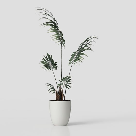 신중국 식물 장식