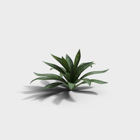 Desert Oasis Low-Poly 3D Model