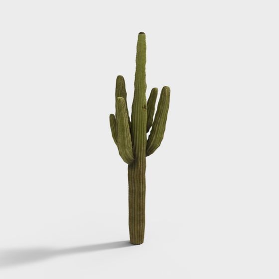 Polygonal Cactus 3D model for Creative Projects