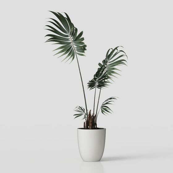 Tropical Style Potted Plant 3D model for Creative Design