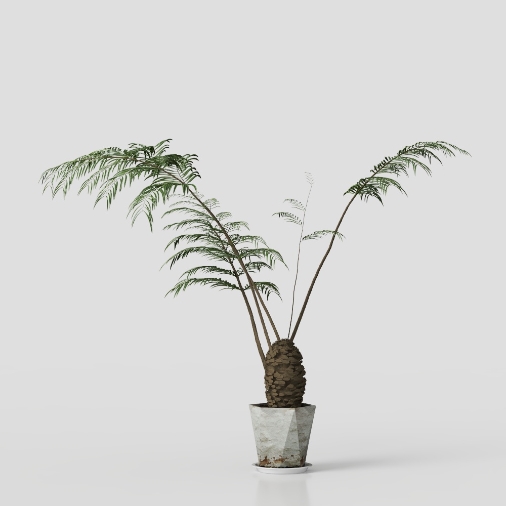 wabi-sabi style green plants