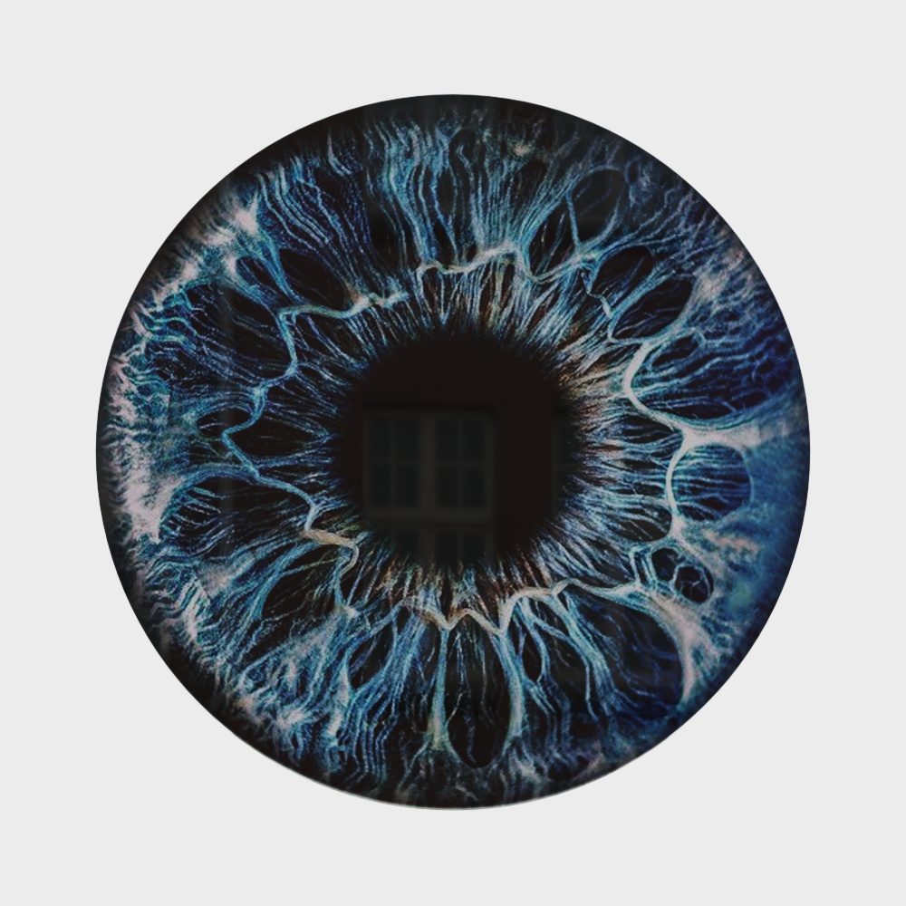 Eyes of the Universe 3D model