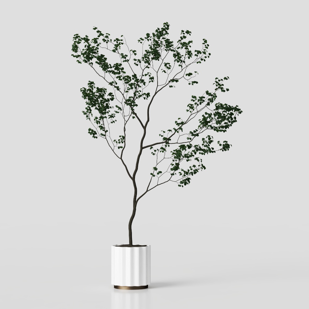 wabi-sabi style green plants