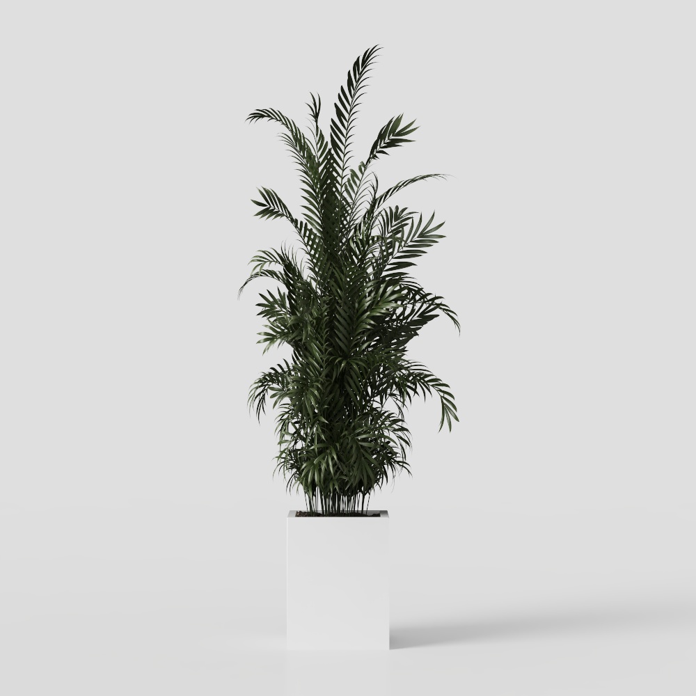 Modern Minimalism Green Plants