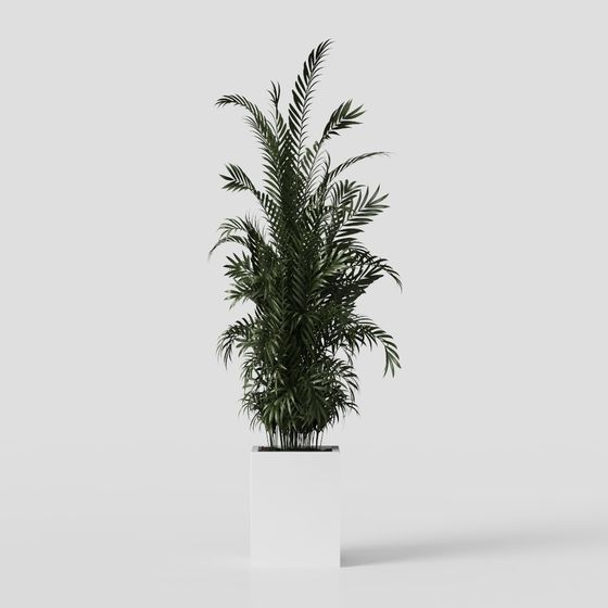 Tropical Green Plant 3D Model for Various Projects