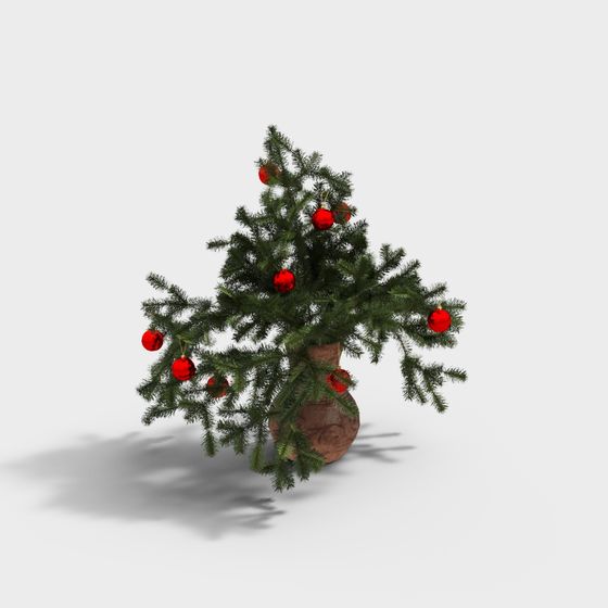 plantes vertes modernes