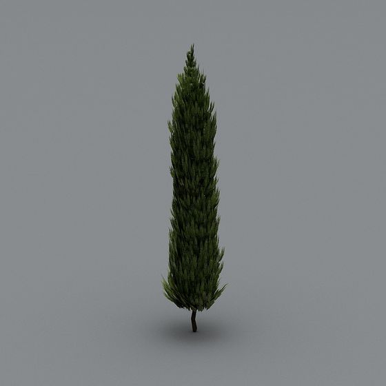 Forest Guardian 3D model - Majestic Evergreen Tree