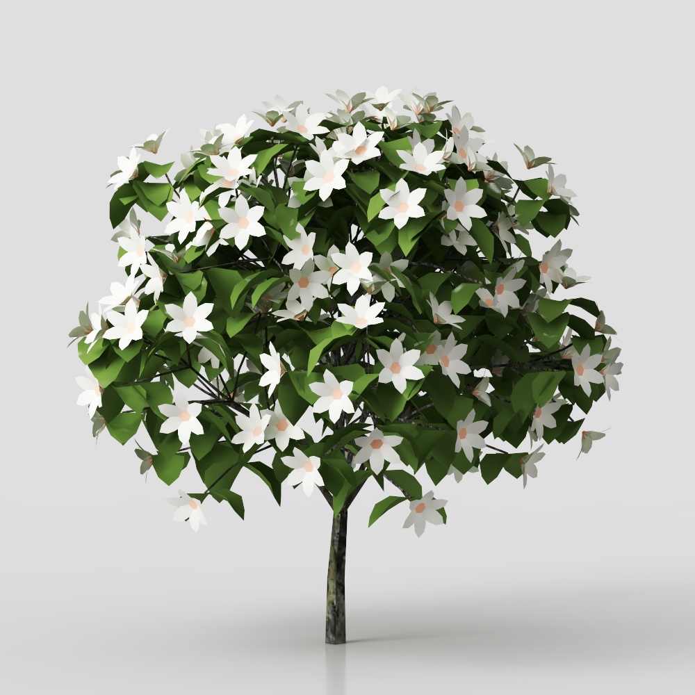 Blooming White Flower Tree 3D model