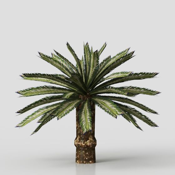 Realistic Palm Tree 3D Model for Creative Projects