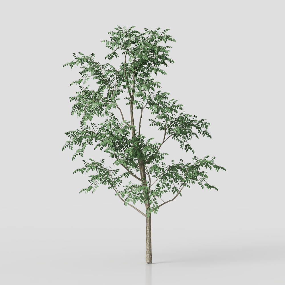 Lively Low-Poly 3D Tree Model for Creative Projects