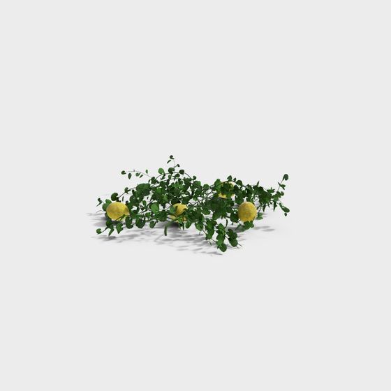 Lively Vines and Lemons 3D model