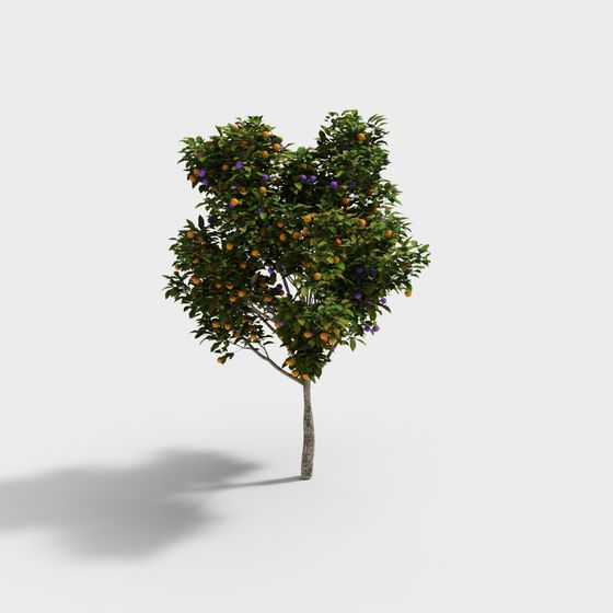 Vibrant Citrus Tree 3D Model for Creative Projects