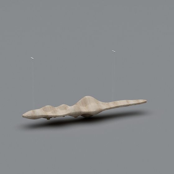 Suspended Vessel 3D model