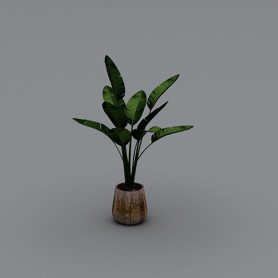 Indoor Green Plant Pot 3D model