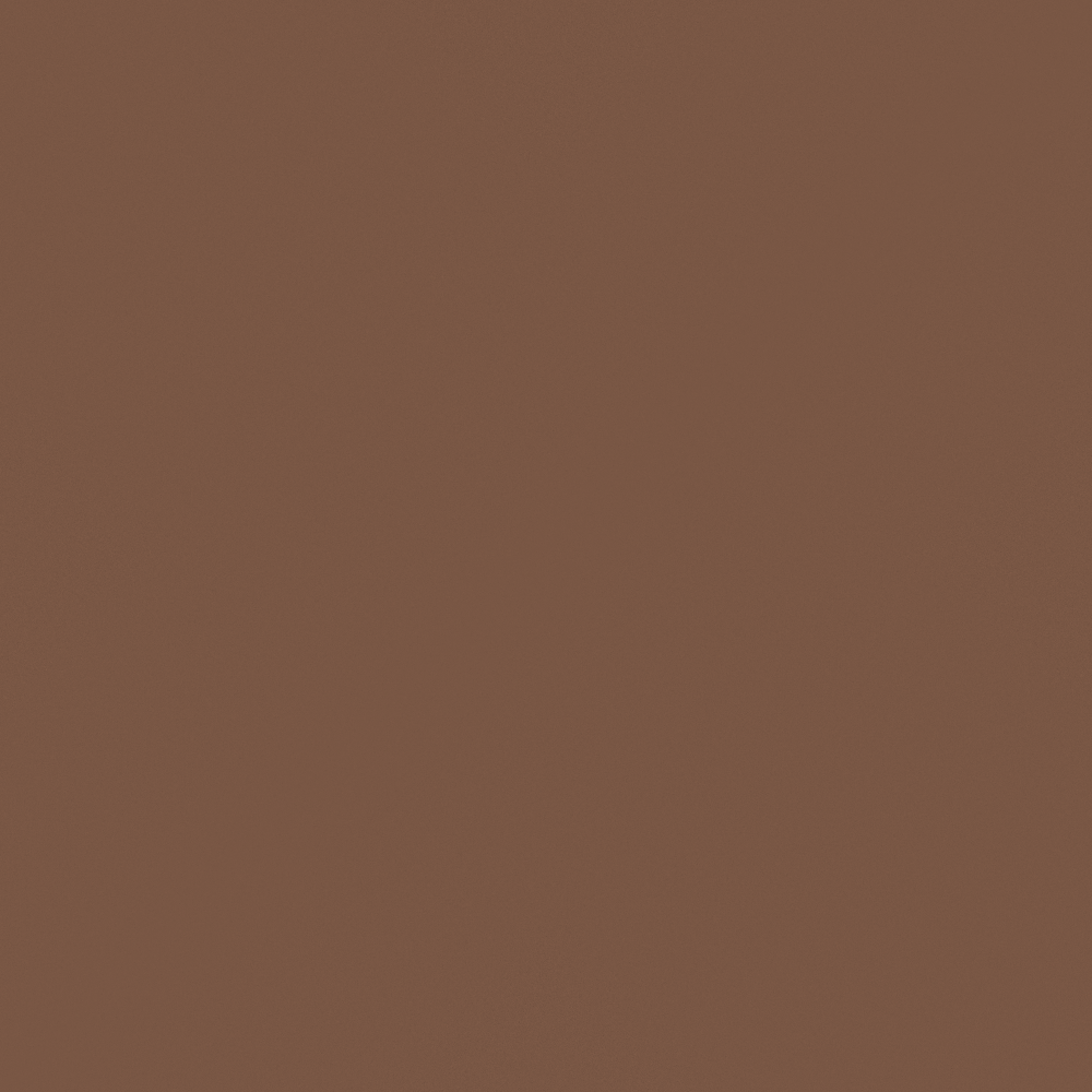 CP 16YR21-41 reddish brown