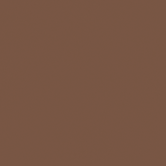 Reddish Brown CP 16YR21-41 Wall Paint 3D Model