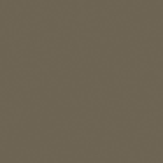Swamp Wall Paint 3D Model in Brown Color