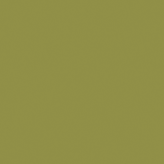 Olive Green Wall Paint 3D Model