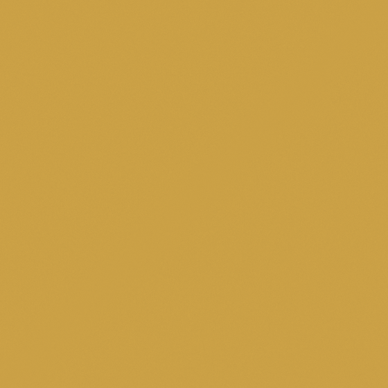 Ancient Golden Yellow Wall Paint 3D Model