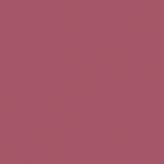 CP 53RD38-49 Ruby 3D Model in Brown