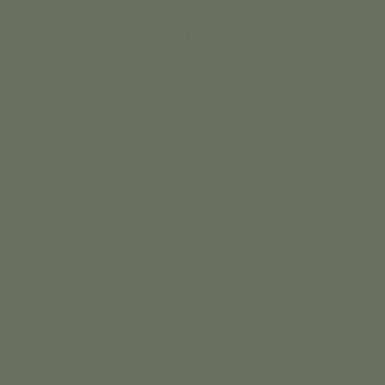 CP 45GY08-47 Mangosteen