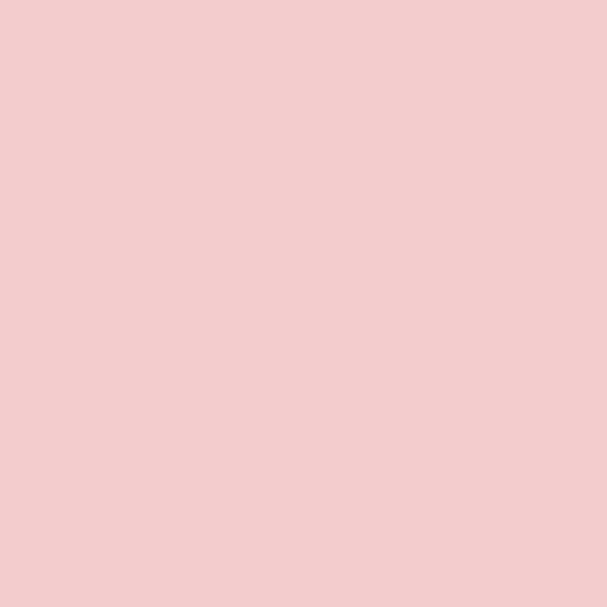 Shy Powder CP 64RD18-84 3D Model in Pink