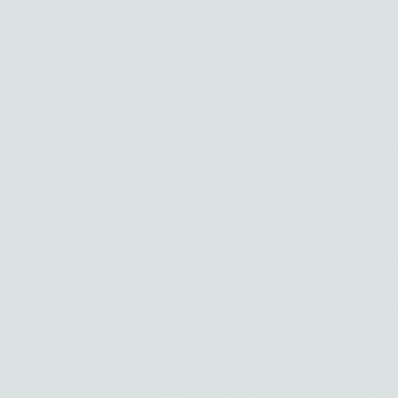 CP 64BL01-86 gray terrazzo