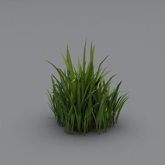 Medium Green Grass 3D Model
