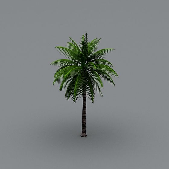Vibrant 3D Coconut Tree Model for Tropical Feel