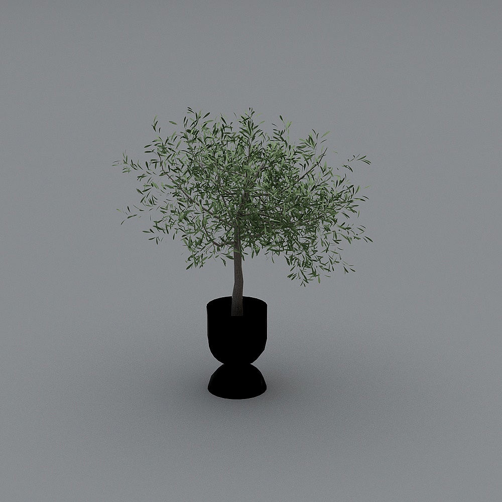 Urban Green Plant 3D model